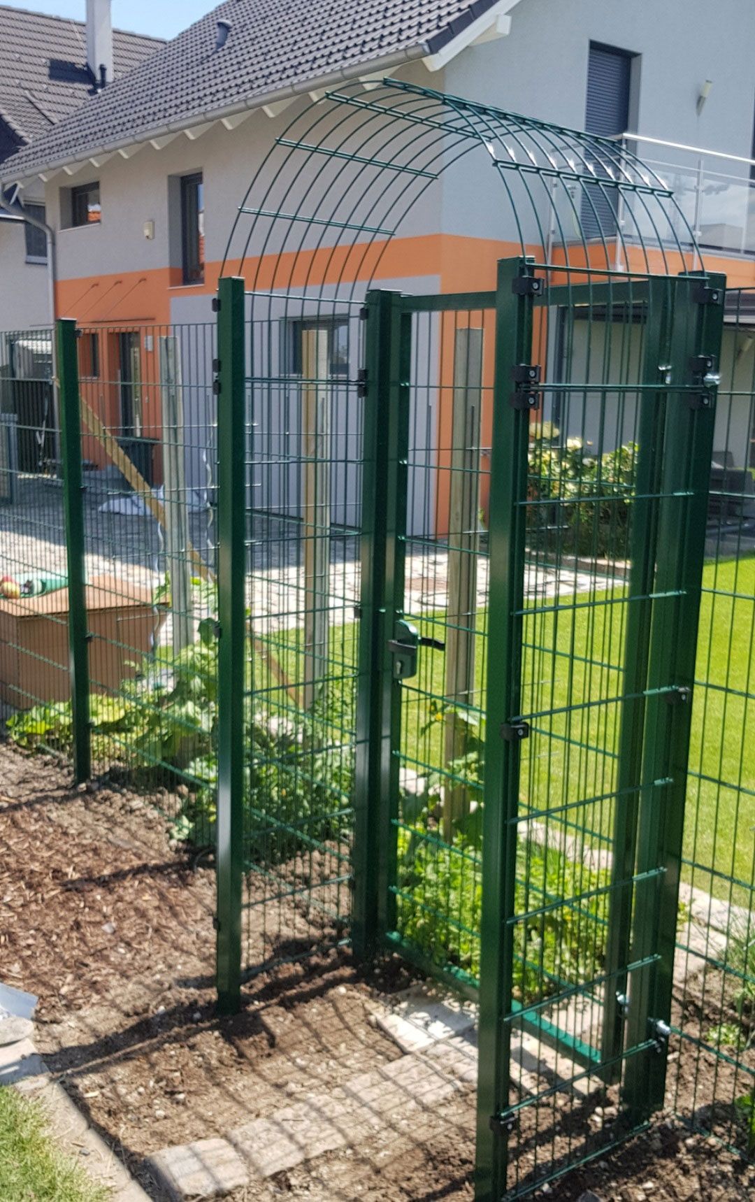 Gitterzaun mit gebogenem oberen Bereich, der ein Gartenbeet mit Pflanzkultur umschließt.